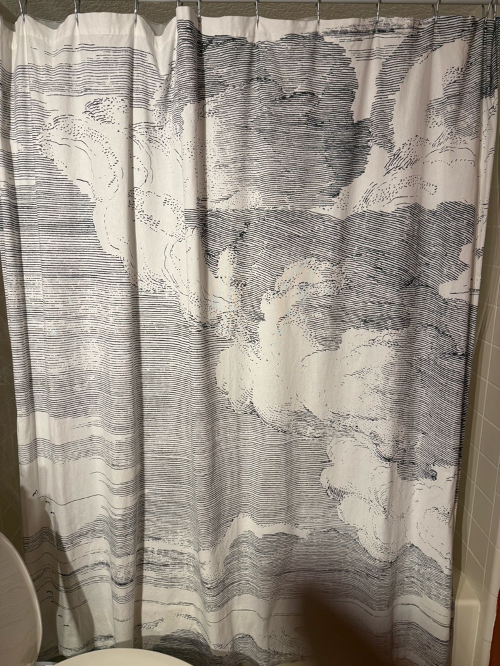 [West Elm] Clouds Shower Curtain